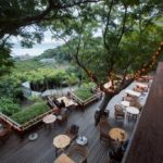 Thorfynns Deck from the Treetops